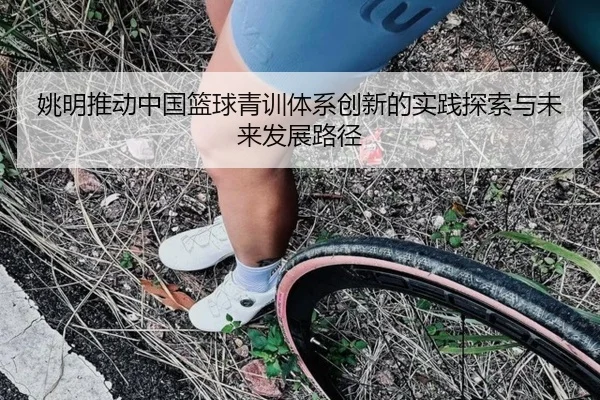 姚明推动中国篮球青训体系创新的实践探索与未来发展路径